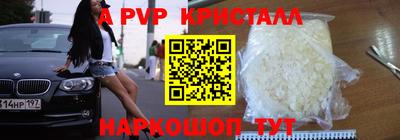 PSILOCYBIN Донской