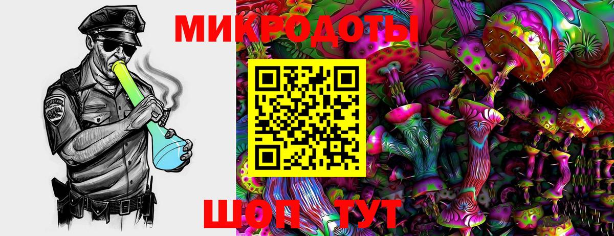 Галлюциногенные грибы Psilocybine cubensis Нерюнгри