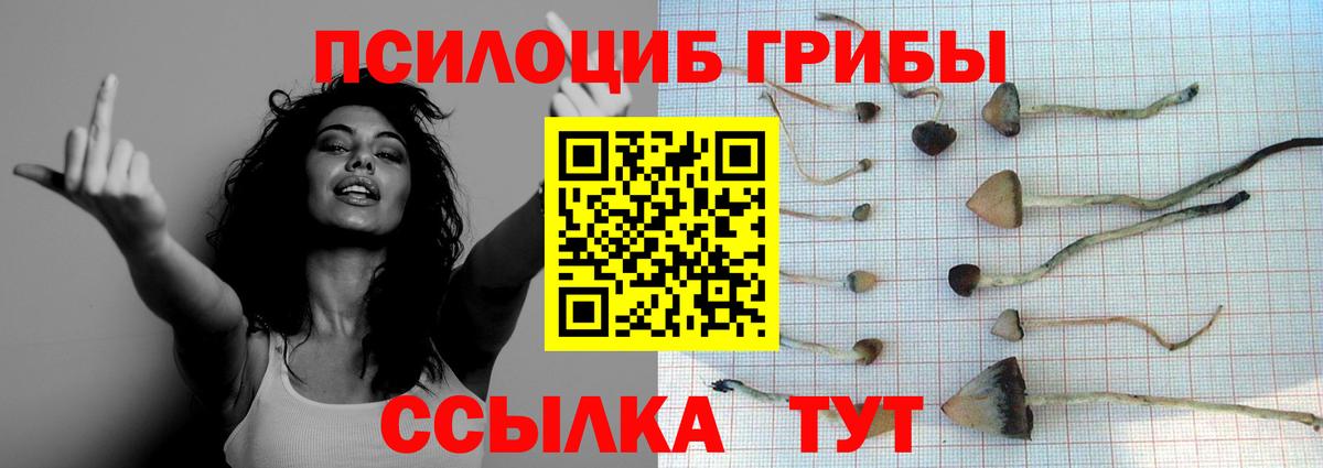 Псилоцибиновые грибы MAGIC MUSHROOMS  Вход с VPN  Нерюнгри 