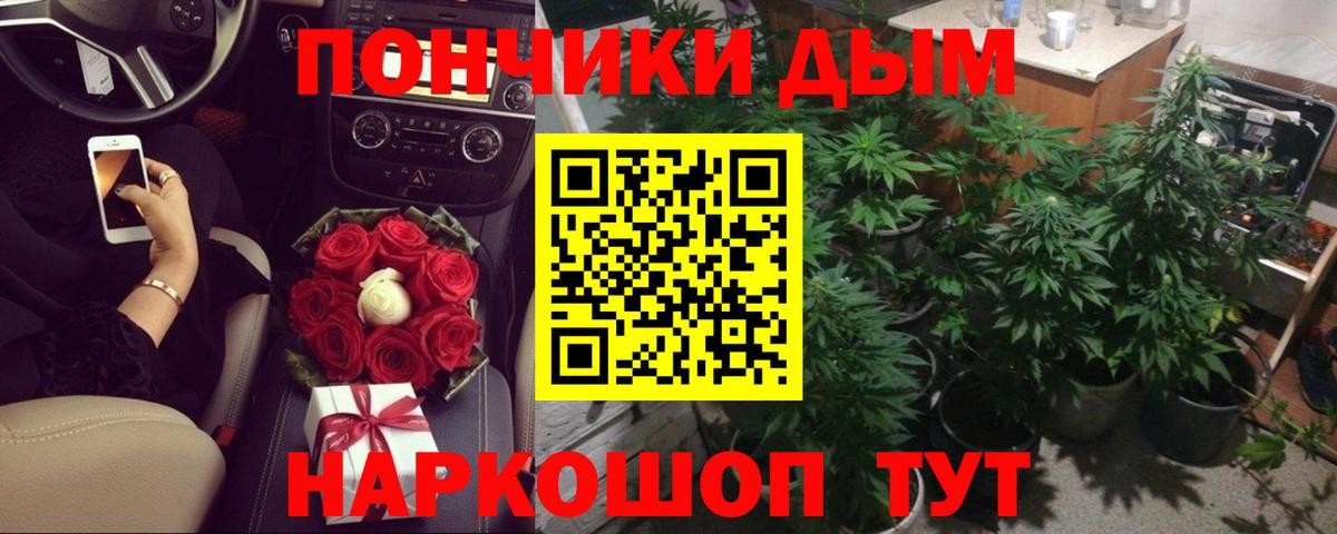 Шишки марихуана тримм  Каннабис конопля  Нерюнгри  Бошки марихуана марихуана  Вход с VPN  Каннабис Amnesia 